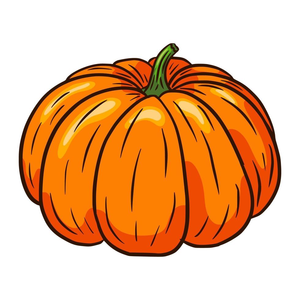 illustrazione di zucca da favola vettore