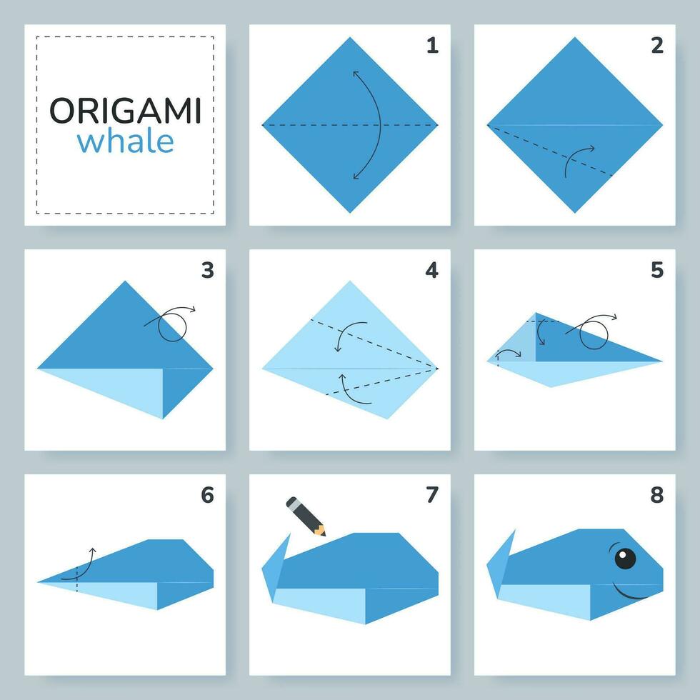 balena origami schema lezione in movimento modello. origami per bambini. passo di passo Come per rendere un' carino origami marino animale. vettore illustrazione.
