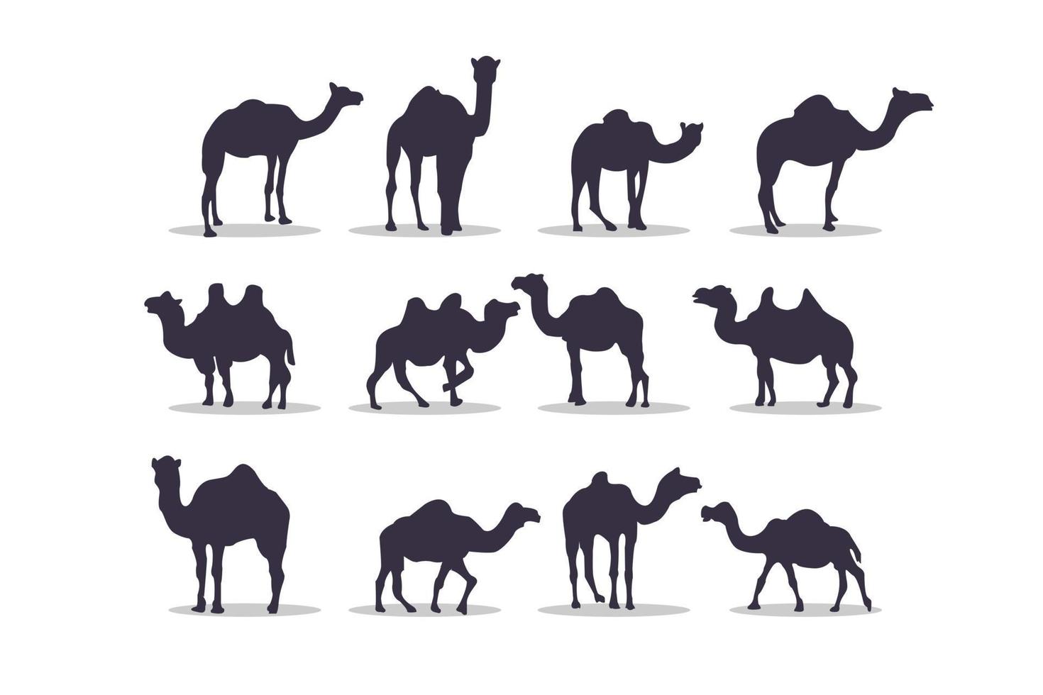 disegno dell'illustrazione di vettore della siluetta del cammello
