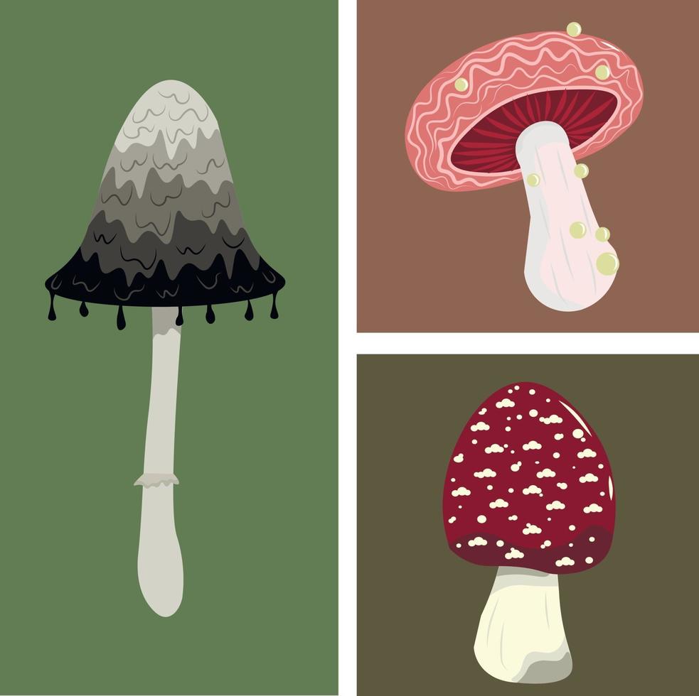 collage con tipi di funghi. 3 funghi di diverse dimensioni. vettore