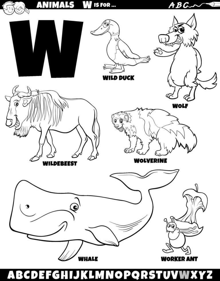 cartone animato animale personaggi per lettera w impostato colorazione pagina vettore