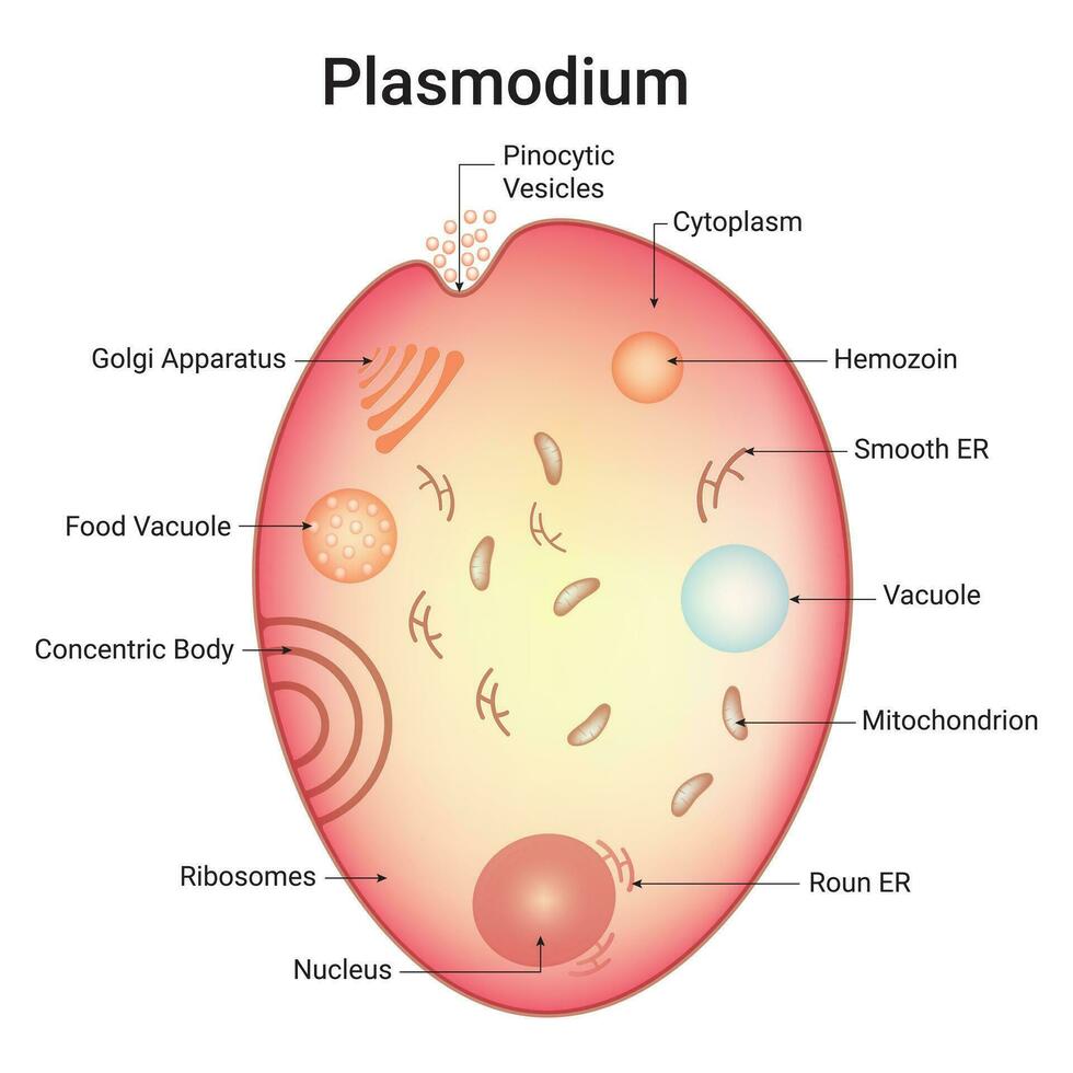 plasmio scienza design vettore illustrazione