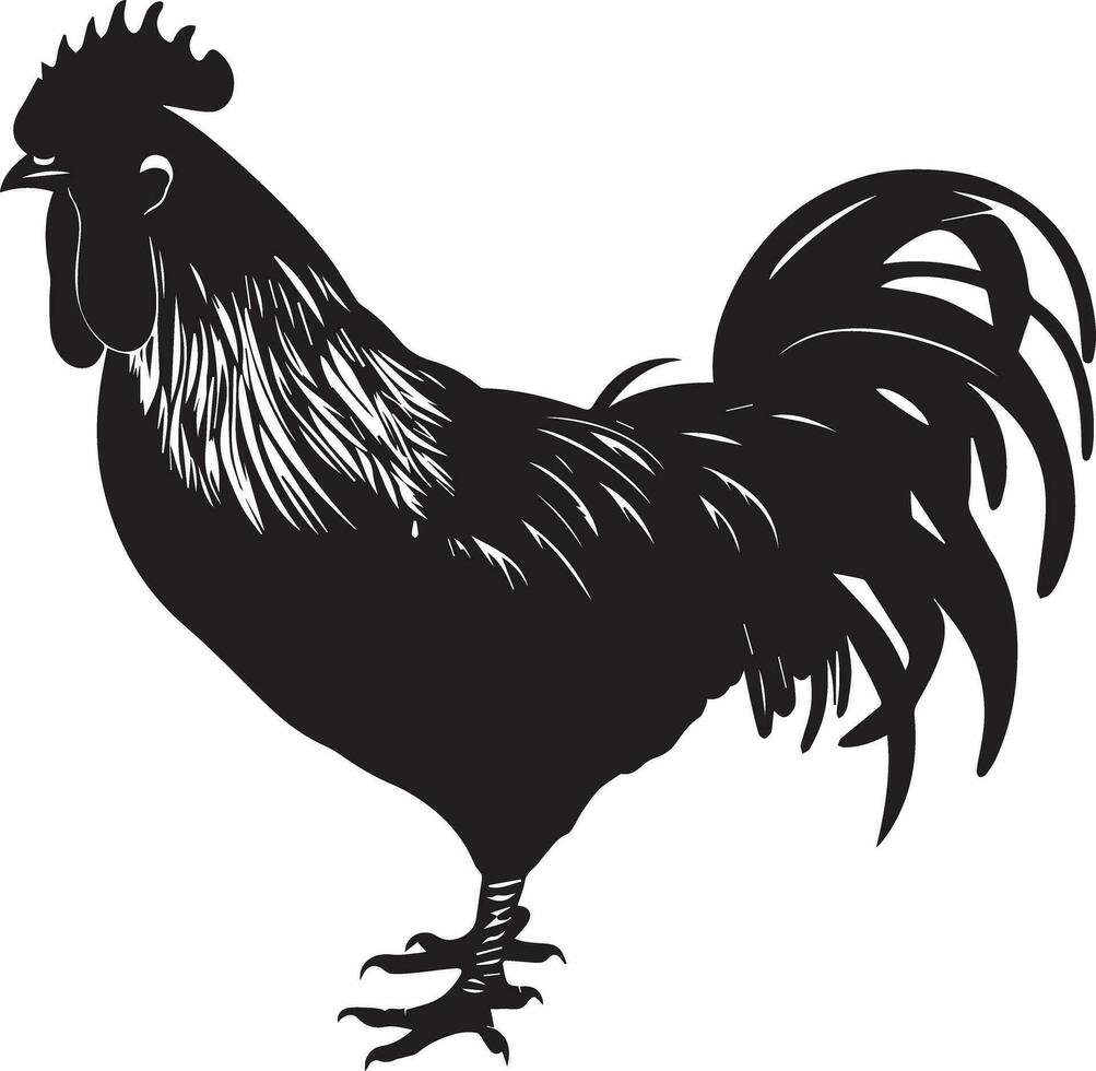 australorp pollo vettore silhouette illustrazione nero colore