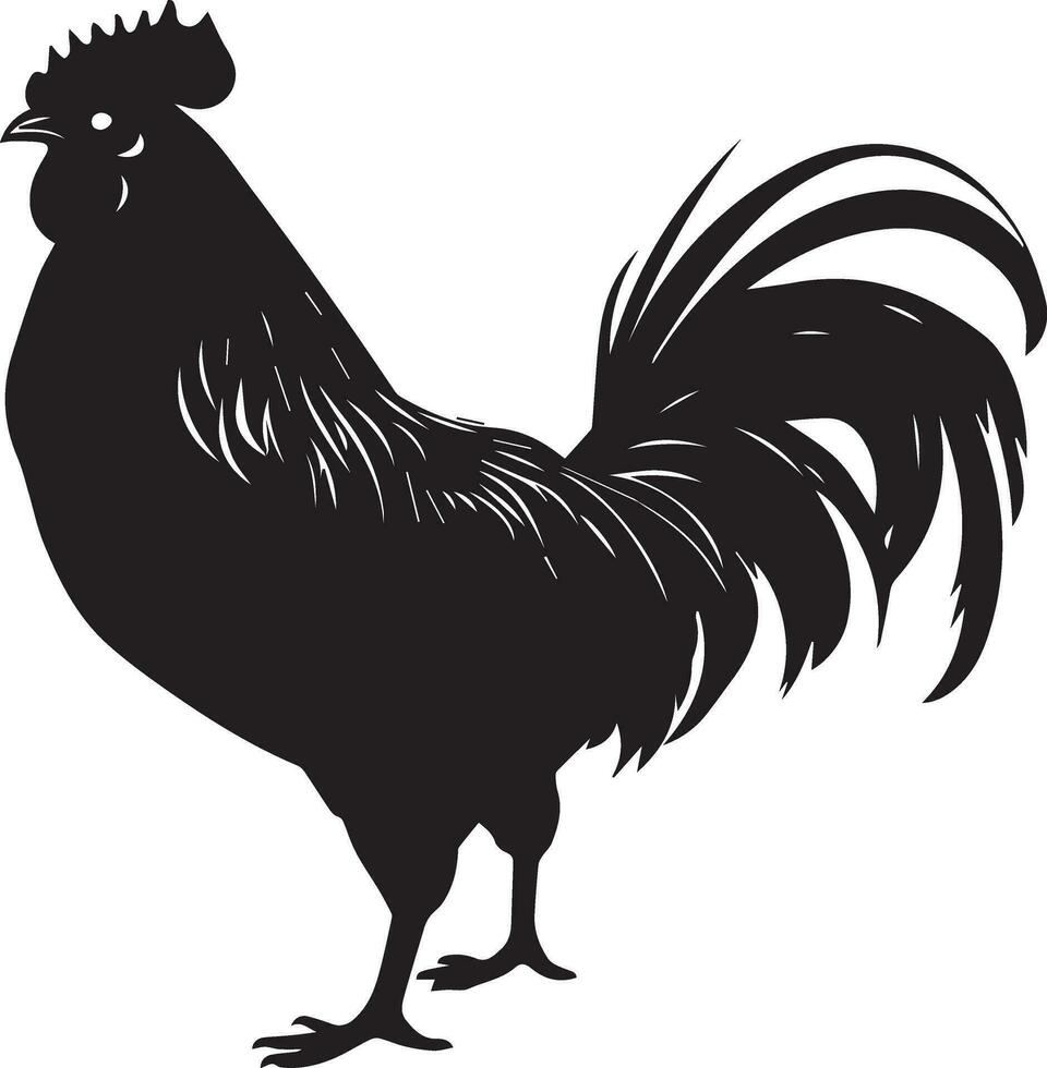 australorp pollo vettore silhouette illustrazione nero colore