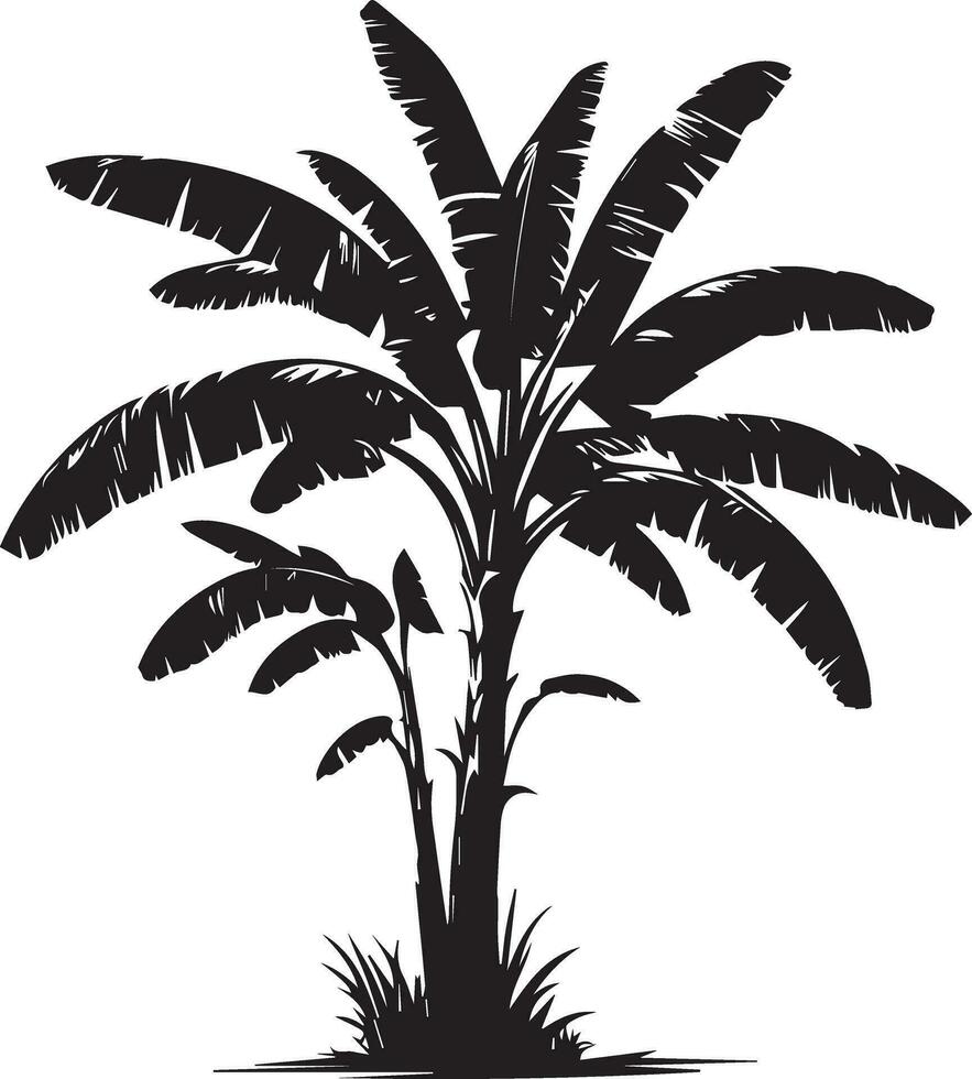 Banana albero vettore silhouette illustrazione nero colore 6