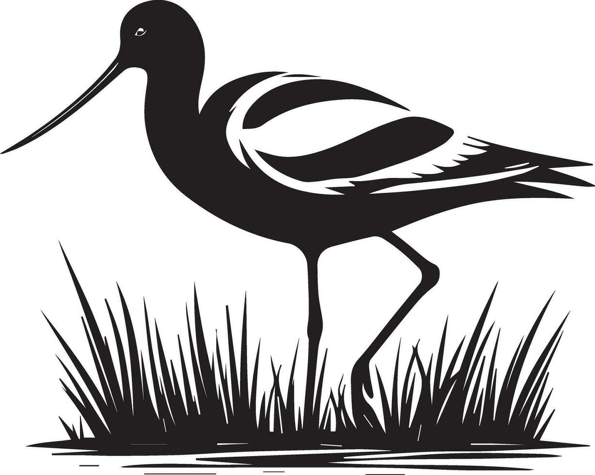 avocetta uccello vettore silhouette illustrazione nero colore