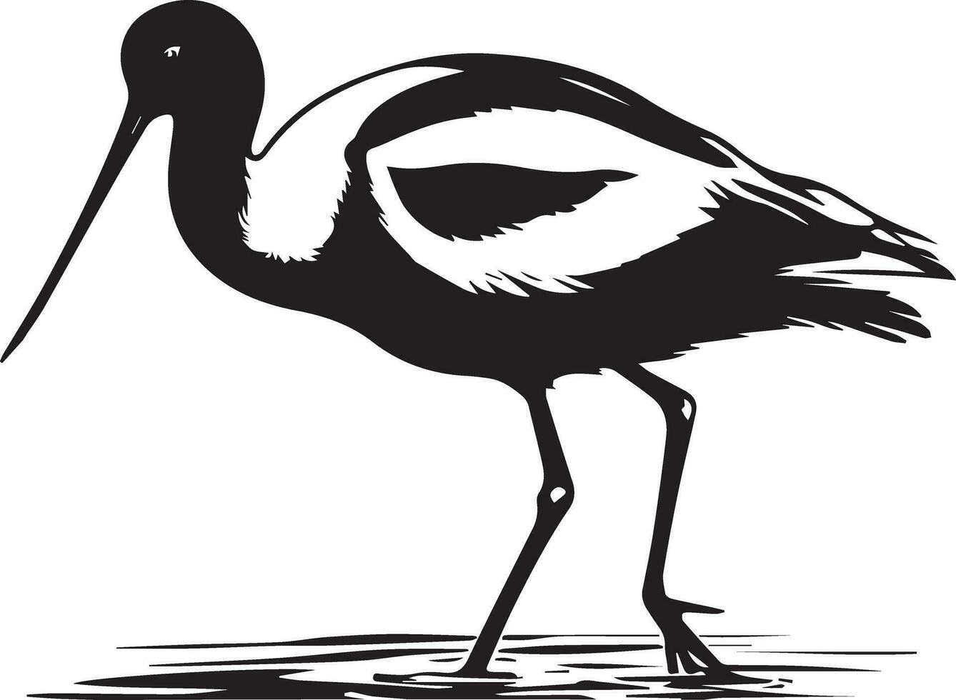 avocetta uccello vettore silhouette illustrazione nero colore