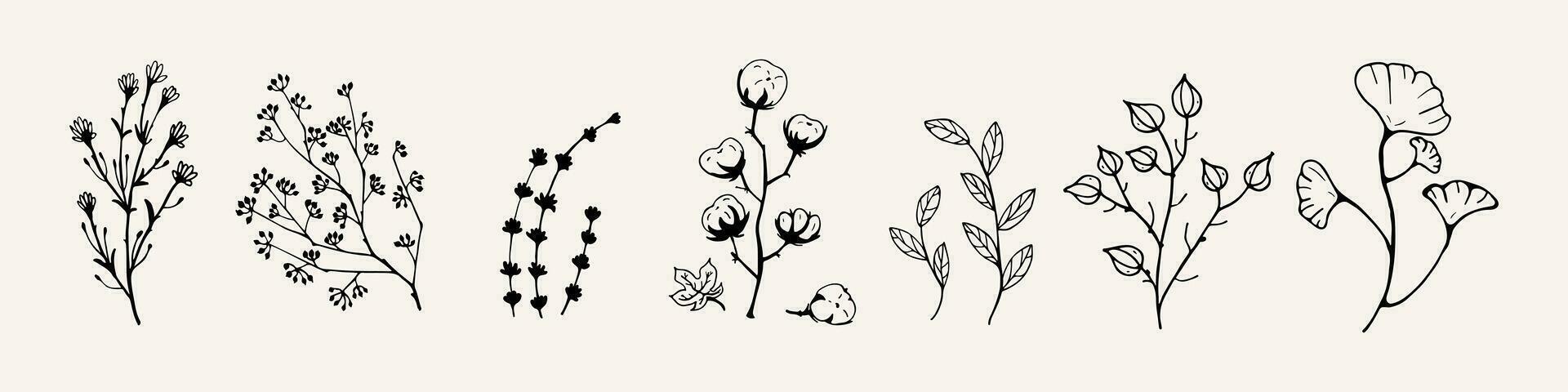 nero vettore asciutto erbe aromatiche, secco fiori. naturale medicina illustrazione. cotone, le foglie e ramoscelli