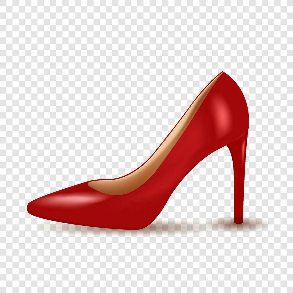 realistico donne scarpe isolato vettore illustrazione
