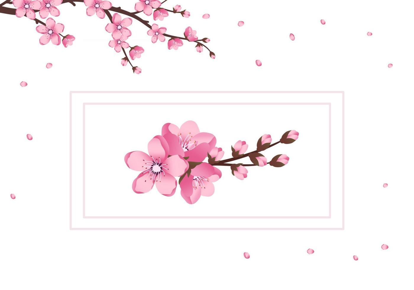 set di icone di fiori di sakura carino. i rami dei ciliegi sono sbocciati vettore