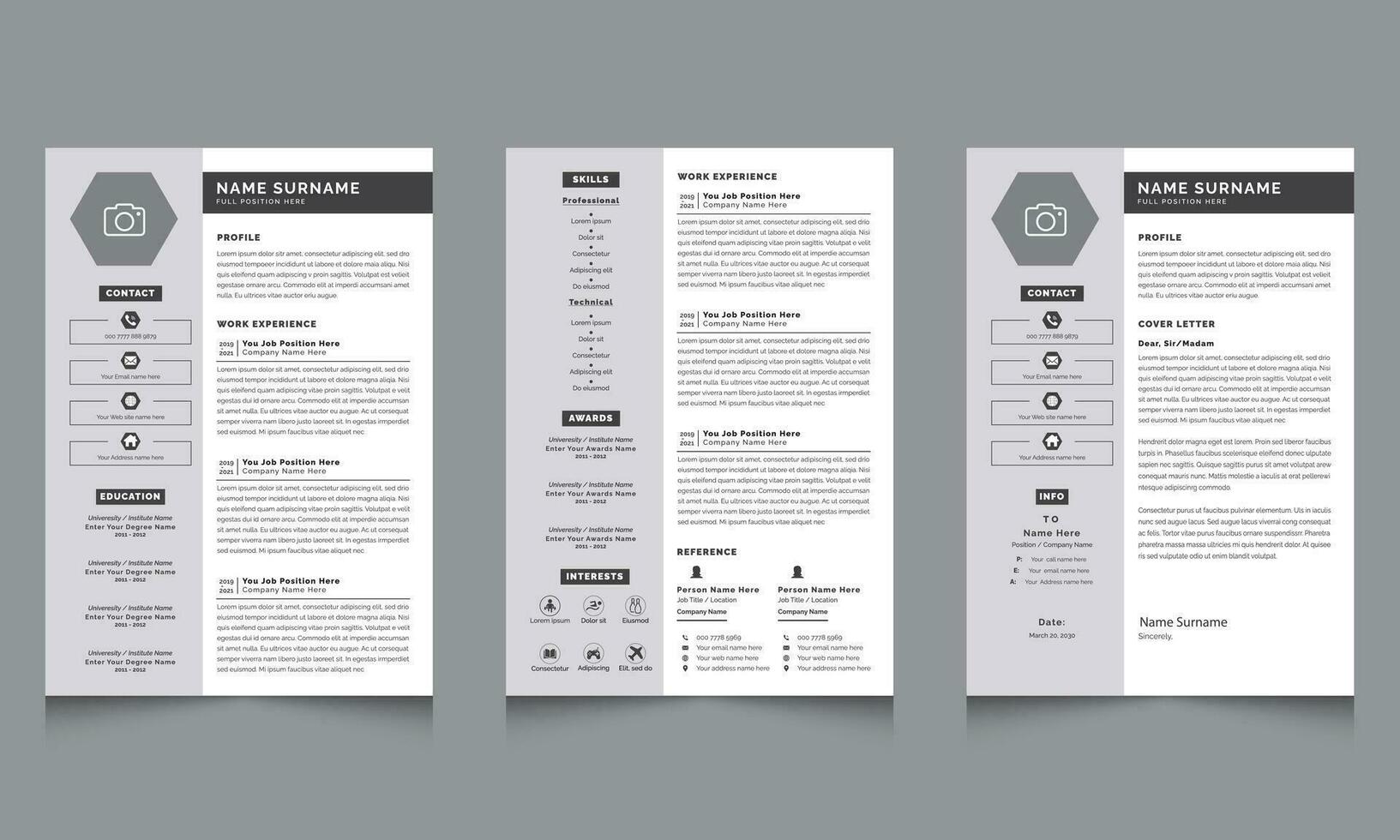 curriculum vitae modello design disposizione Accenti vettore