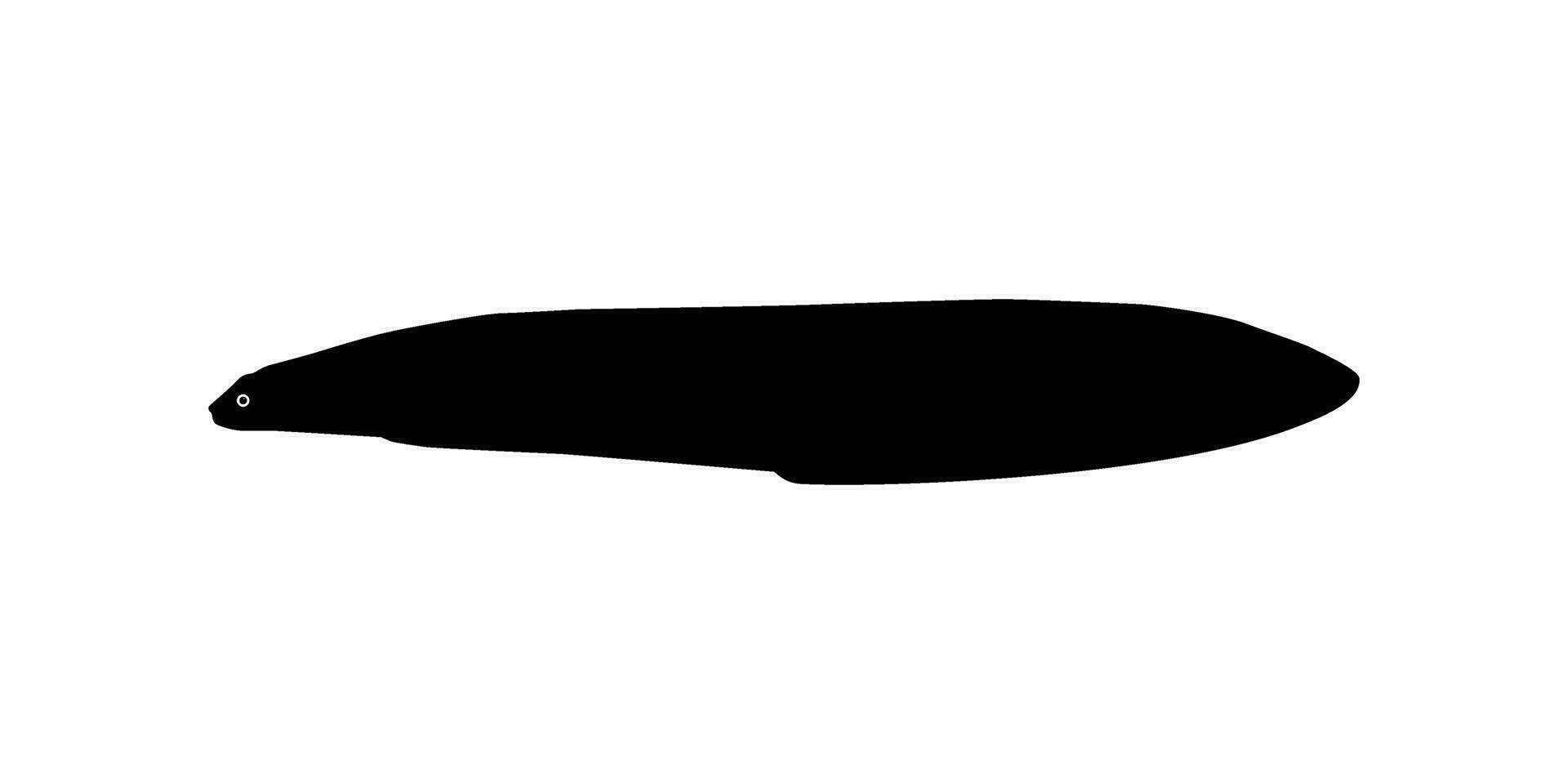 silhouette di il murena anguille o muraenidi, per arte illustrazione, logo genere, pittogramma o grafico design elemento. vettore illustrazione