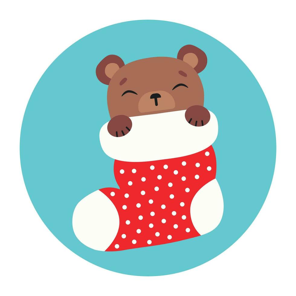 carino orso dorme nel un' Natale calza. contento vacanze. inverno animale. vettore illustrazione.