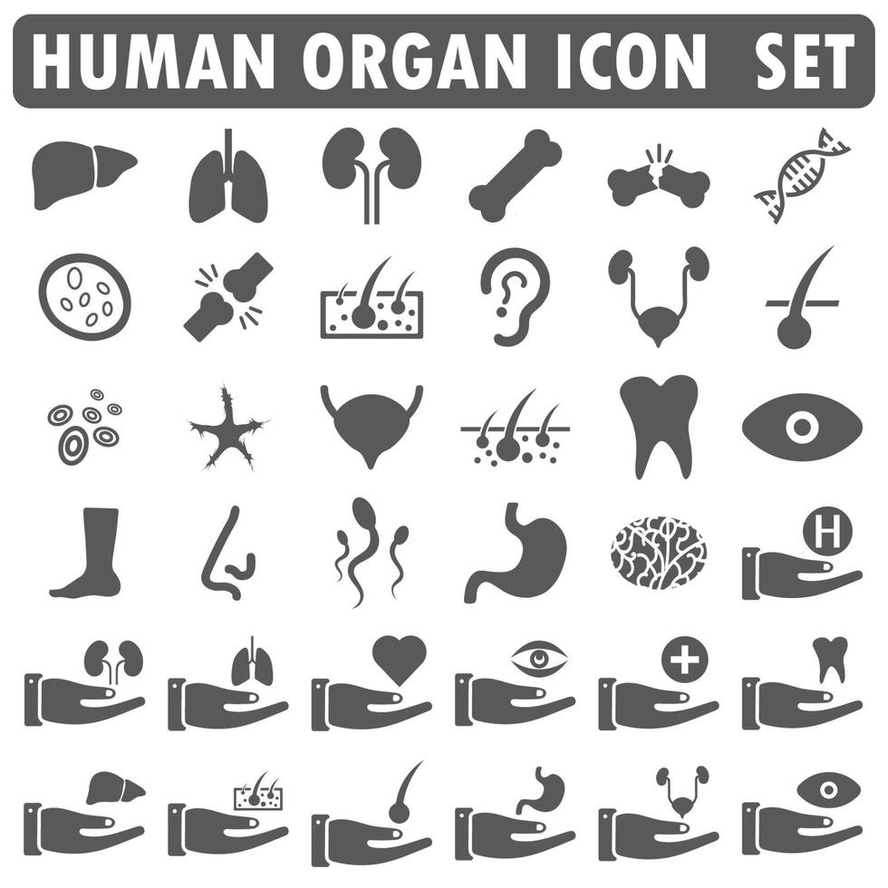vettore di set di icone di organi umani