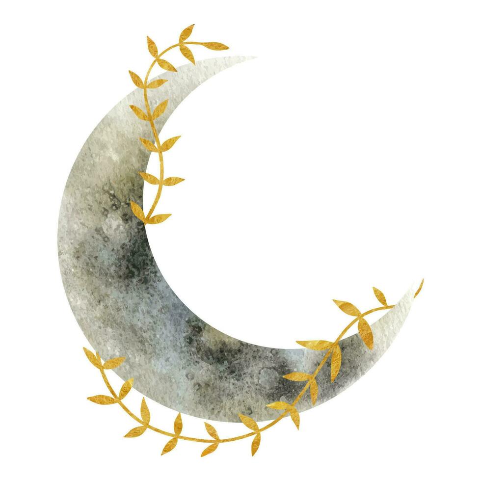 mezzaluna Luna. Luna e d'oro rami. acquerello illustrazione. isolato. impianti e lunare silhouette. floreale Magia celeste clipart. vettore