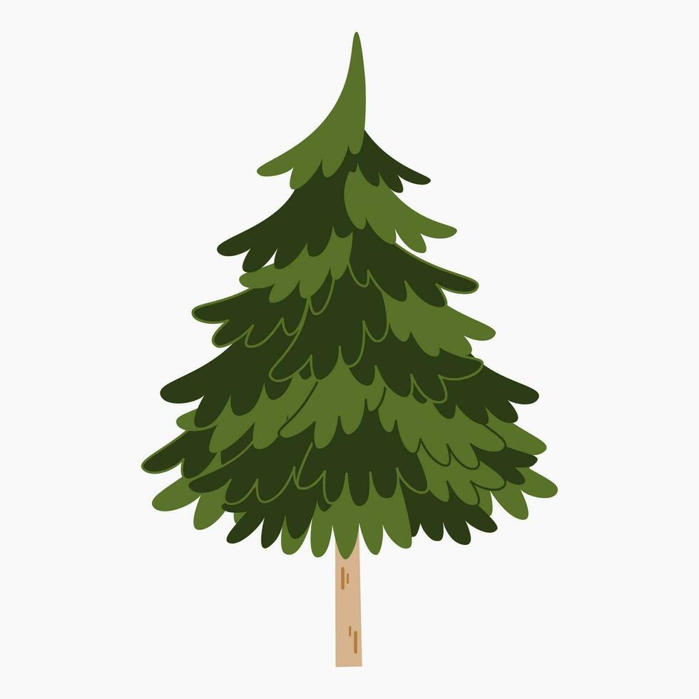 un' carino pianura Natale albero, abete rosso, pino, conifera senza decorazione, piatto vettore illustrazione isolato su bianca sfondo. allegro Natale e contento nuovo anno.