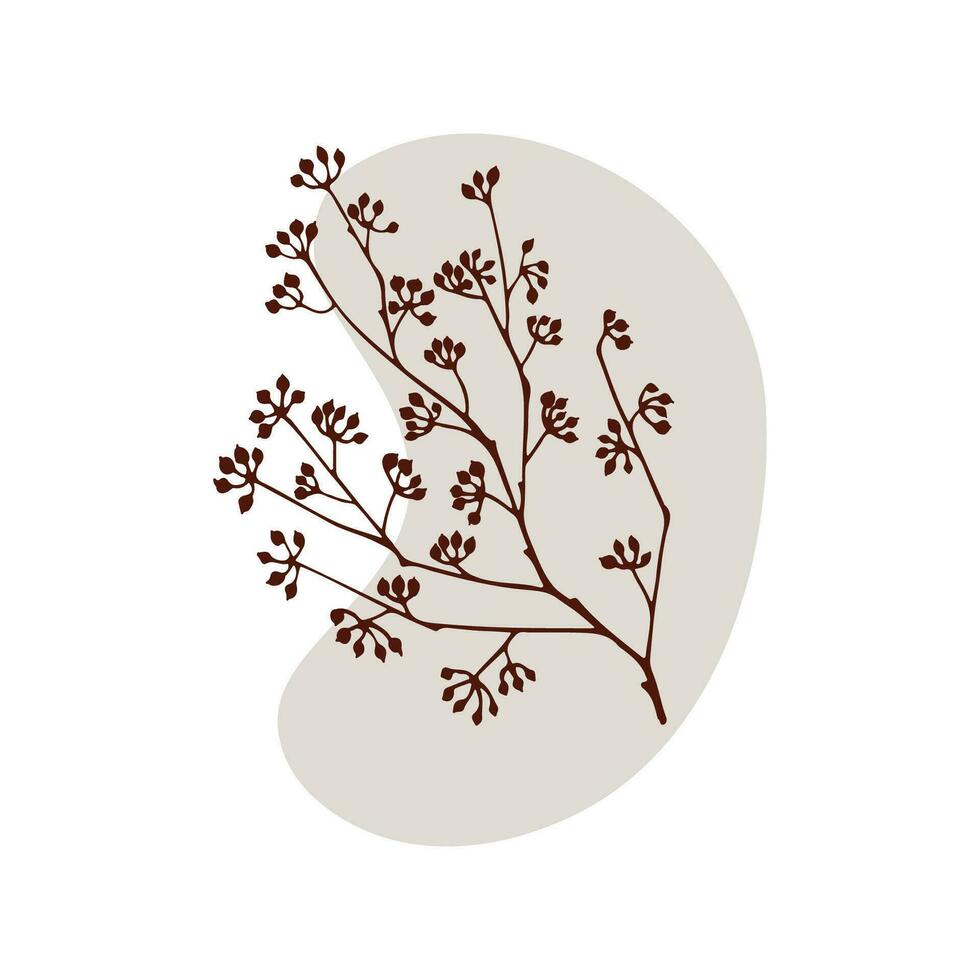 asciutto ramo pianta isolato vettore illustrazione. concetto secco erbe aromatiche. stelo foglia. botanica, erbaceo tema.
