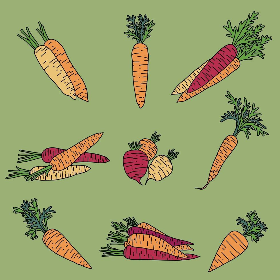 Doodle disegno a mano libera della raccolta di verdure di carota. vettore