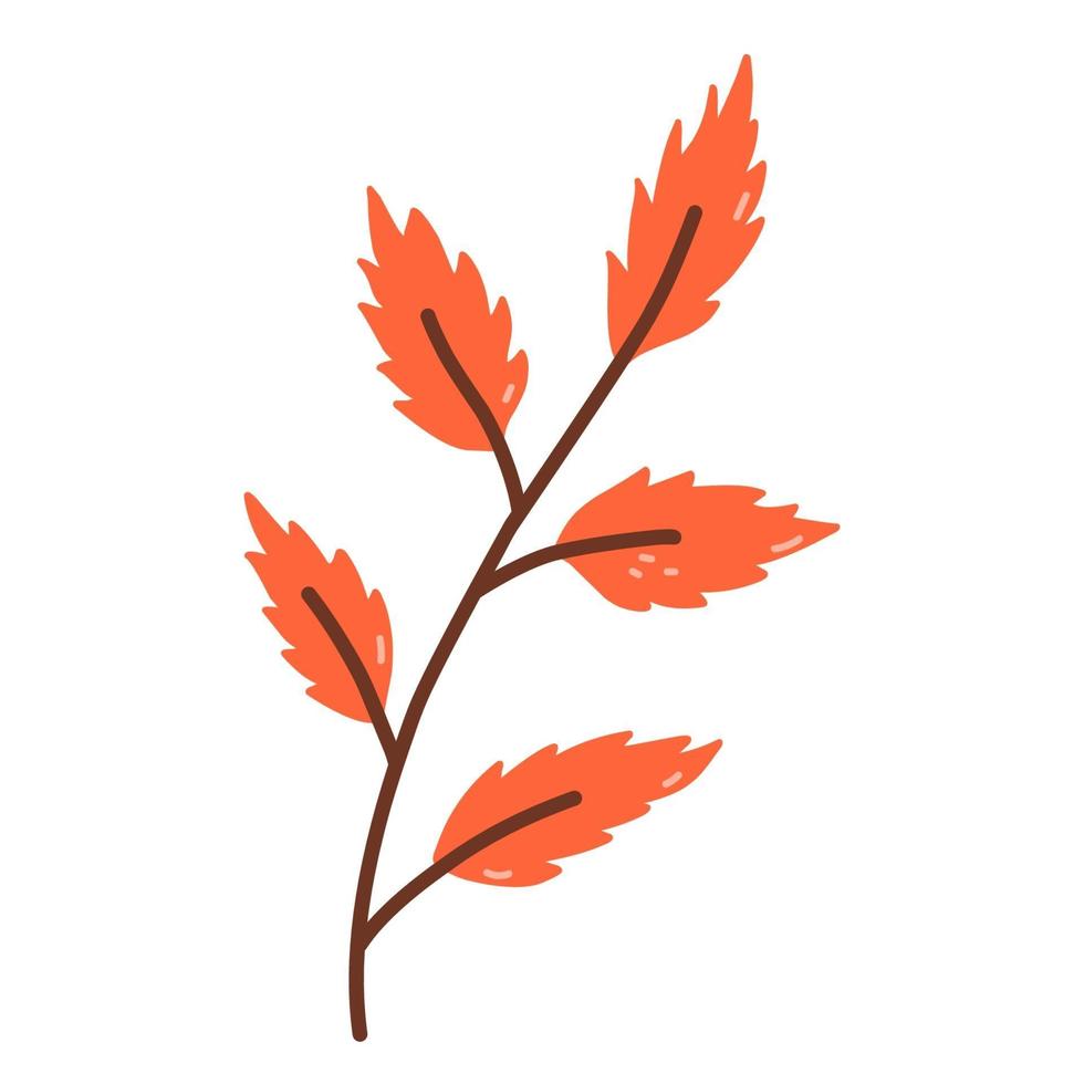 ramoscello con foglie d'arancio isolato su sfondo bianco vettore