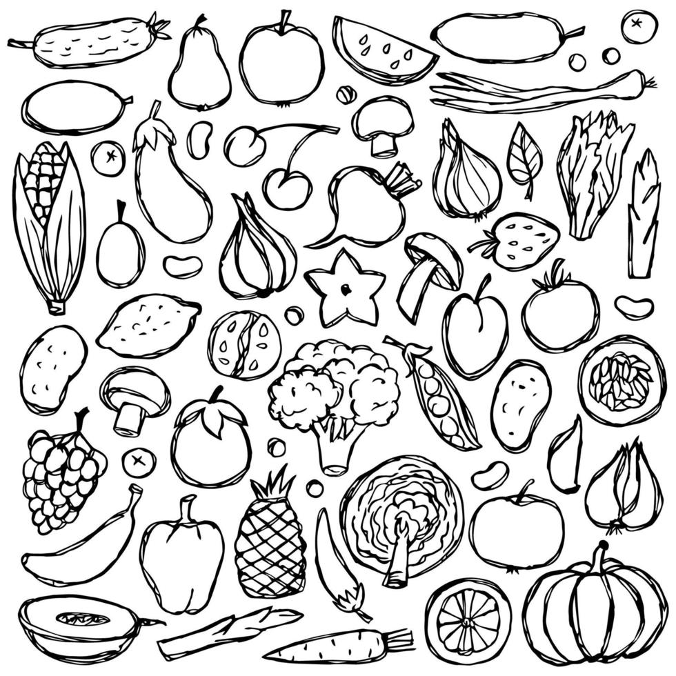 doodle set di cibo vegetariano vettore