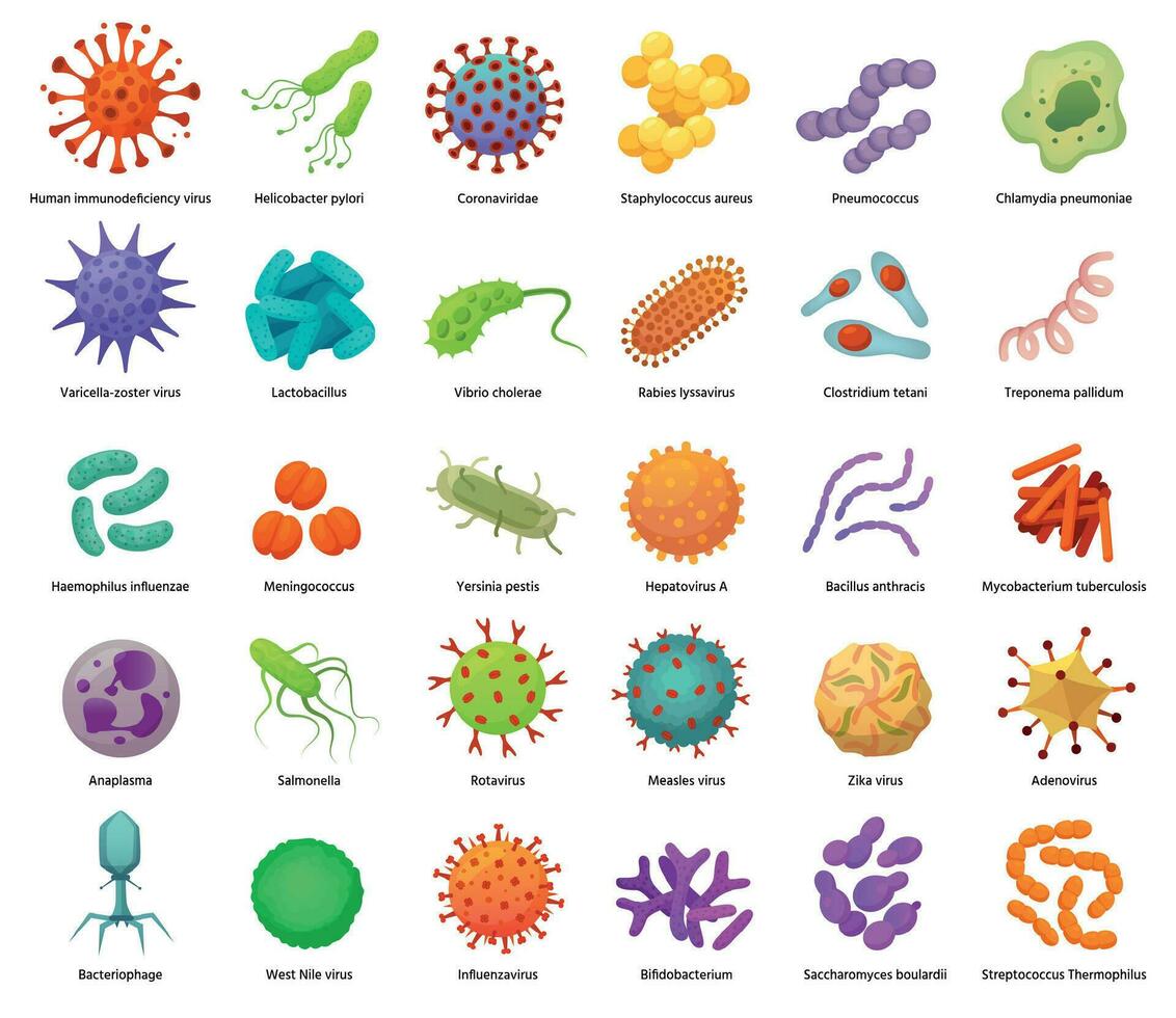 batteri e virus icone. causa di malattia batteri, virus e microbi. colore germi, batterio tipi vettore illustrazione impostato