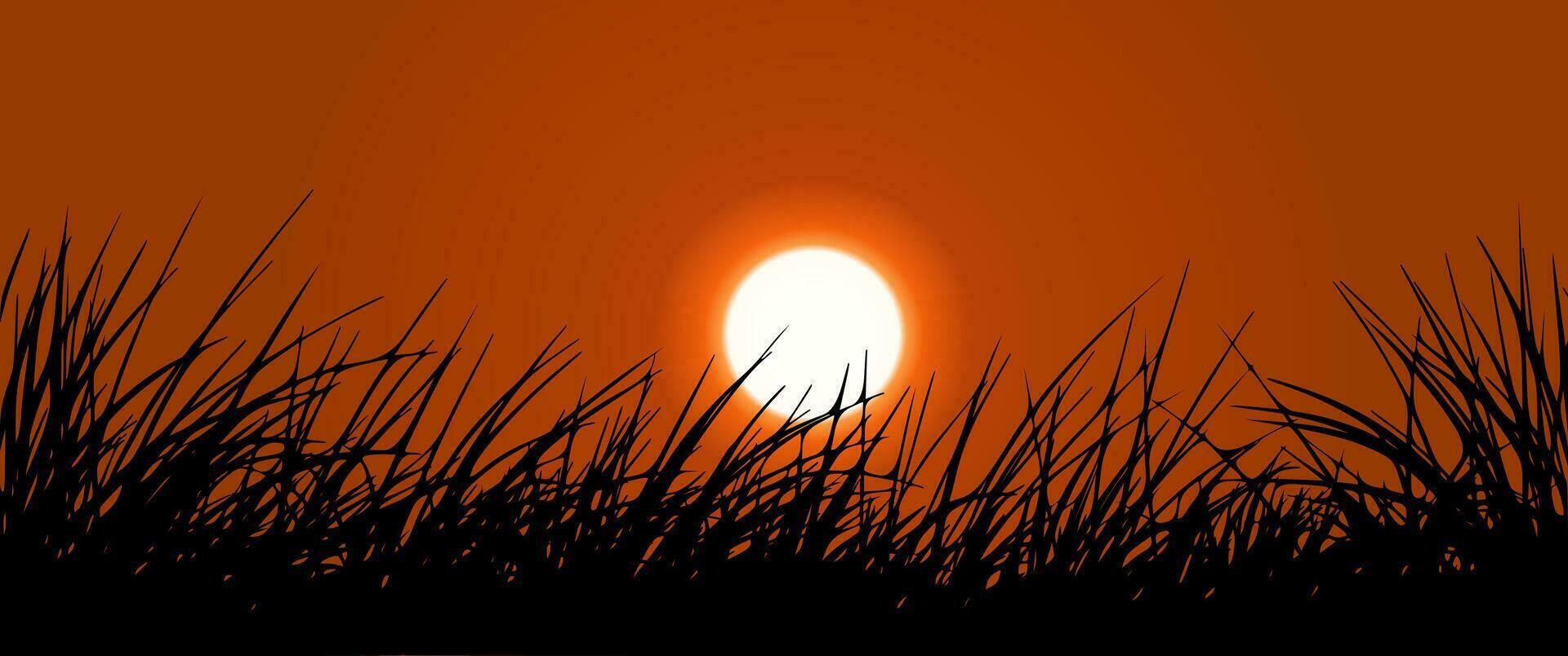vettore erba illustrazione con tramonto