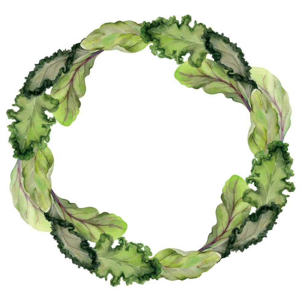 mano disegnato acquerello verde insalata spinaci cavolo foglia dieta e salutare stile di vita, vegano cucinando. illustrazione cerchio ghirlanda telaio isolato su bianca sfondo. design manifesto, Stampa, sito web, carta, menù vettore