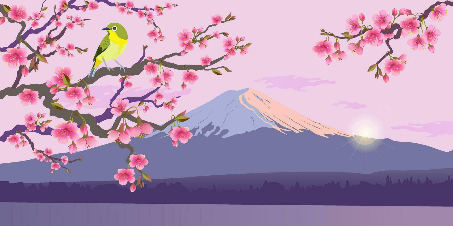 realistico grafica di usignolo e sakura contro il fondale di montare fuji. giapponese usignolo su un' ramo di un' fioritura ciliegia albero. vettore