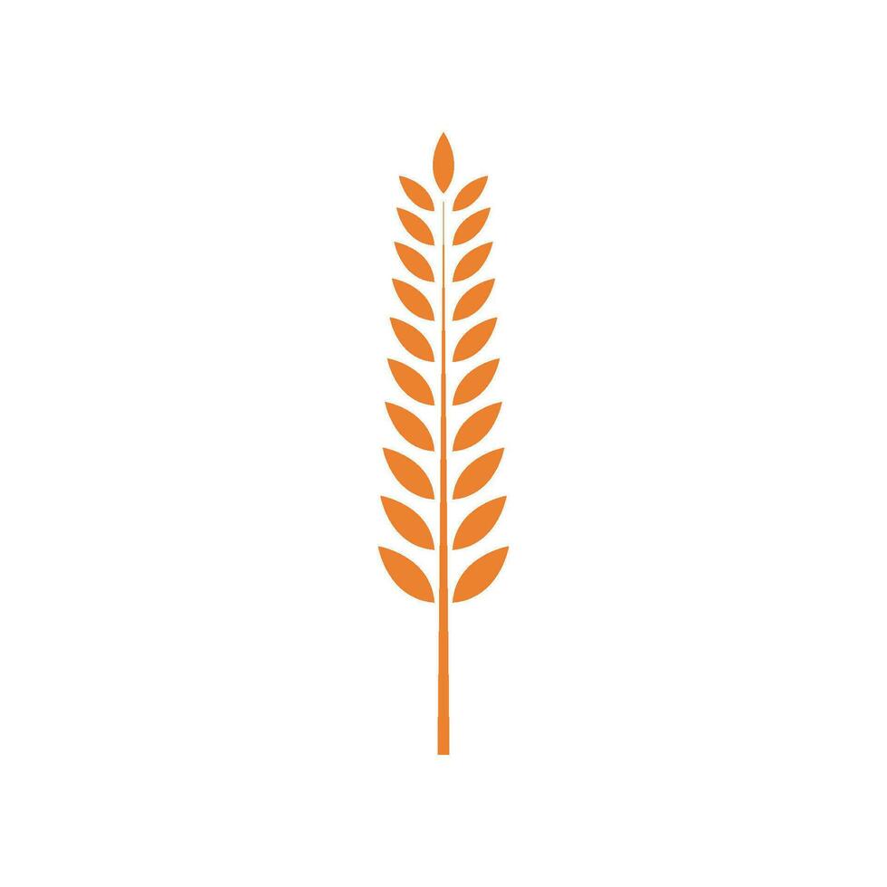 Grano logo icona vettore