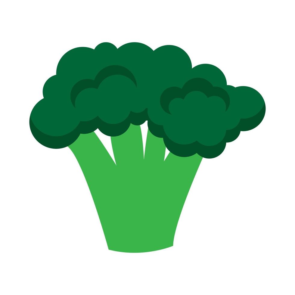 broccoli verdi, illustrazione vettoriale in stile piatto cartone animato