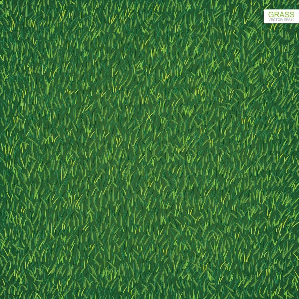 trama di erba prato verde per lo sfondo. vettore. vettore