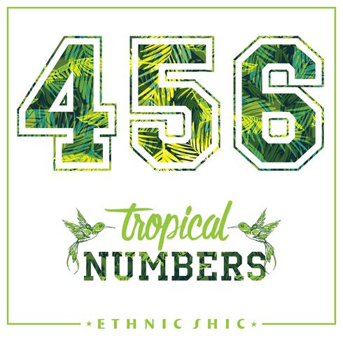 Vector numeri tropicali per t-shirt, poster, cartoline e altri usi.