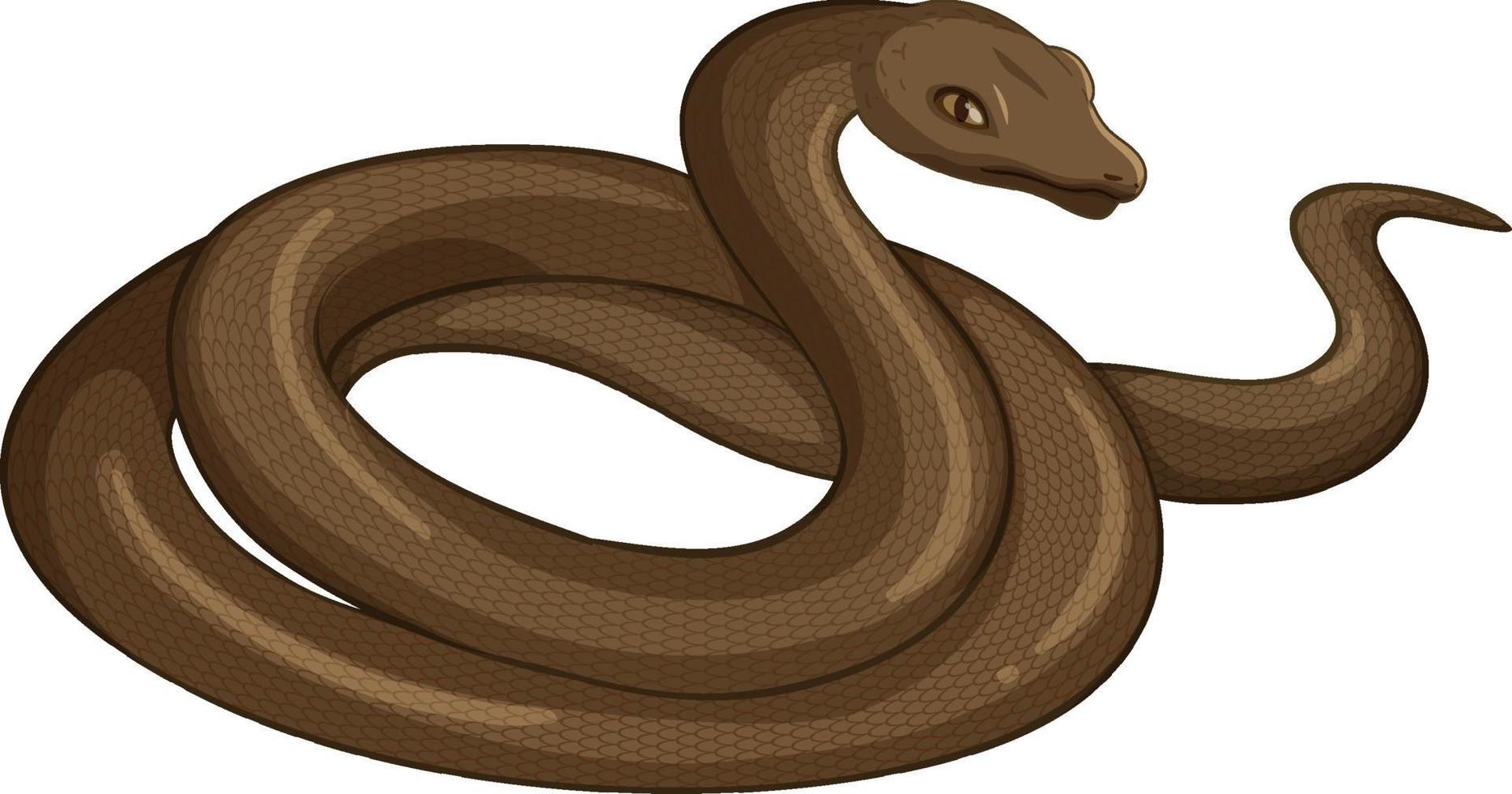 animale serpente su sfondo bianco vettore