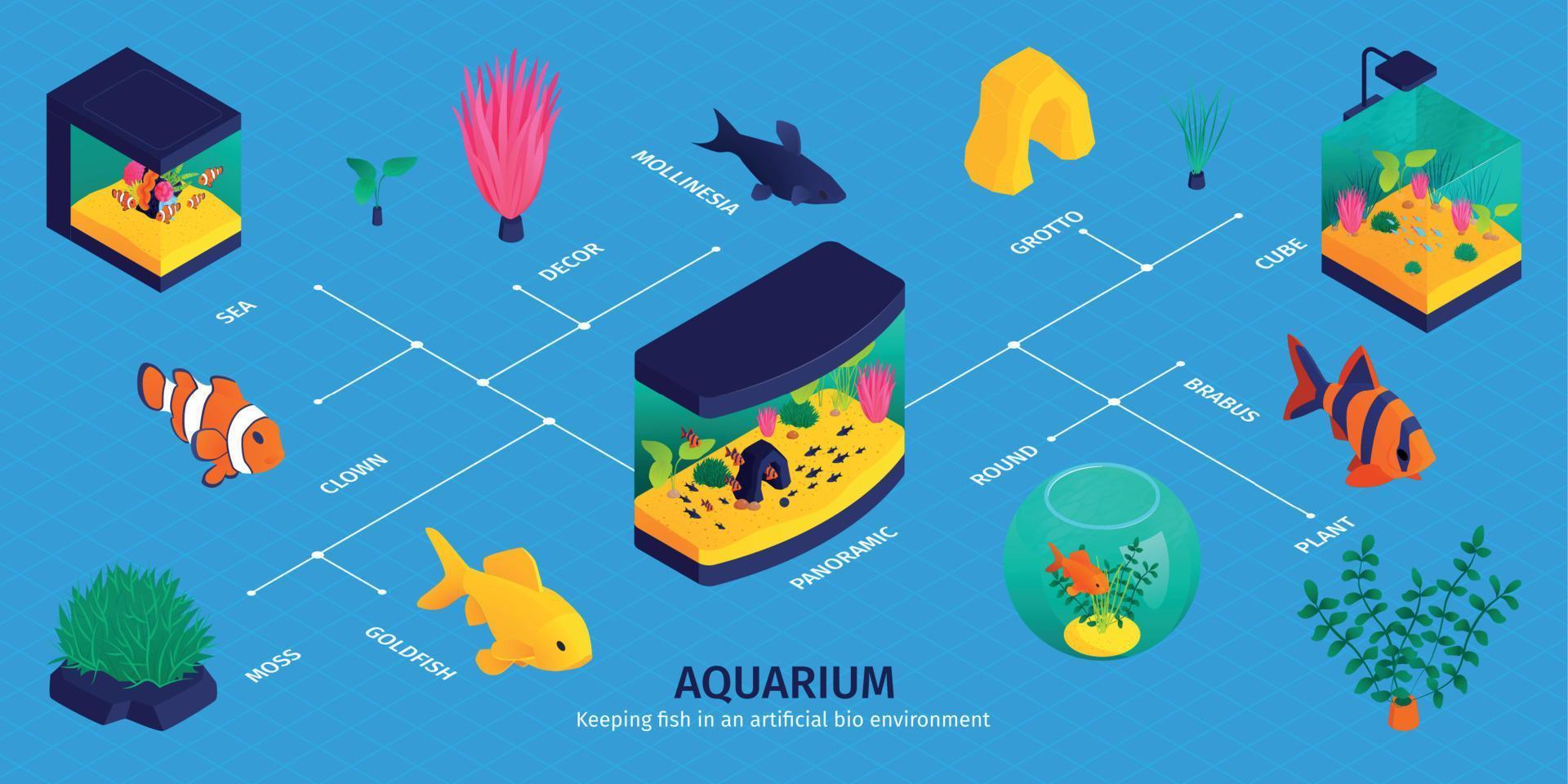 infografica isometrica di pesci d'acquario vettore