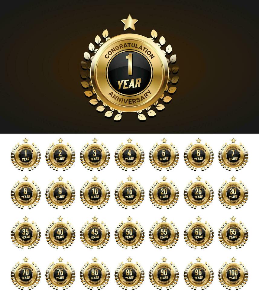 impostato di Vintage ▾ anniversario badge celebrazione. anniversario d'oro lusso numero vettore