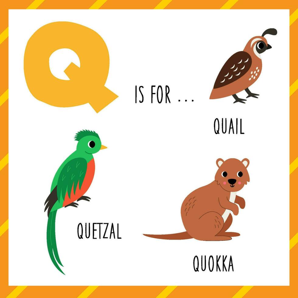 apprendimento inglese alfabeto per bambini. lettera q. carino cartone animato Quaglia quetzal quokka. vettore