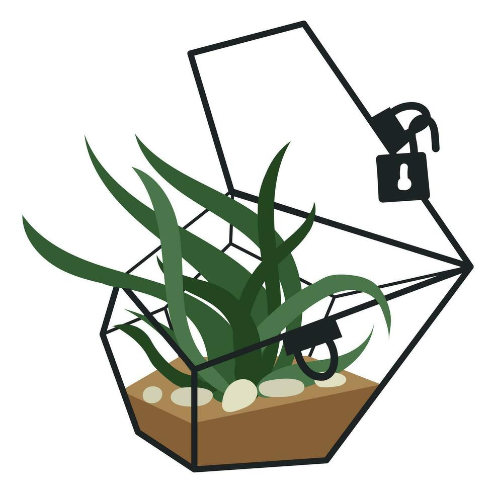 vettore illustrazione con un' bicchiere pianta terrario di un' florarium evidenziato su un' bianca sfondo. un' pianta nel un' geometrico fiore pentola nel un' piatto stile. un' pianta nel un' gabbia con un Aperto serratura, un' bicchiere gabbia