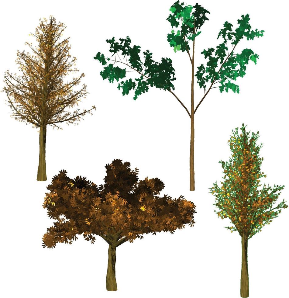 natura alberi set vettoriale