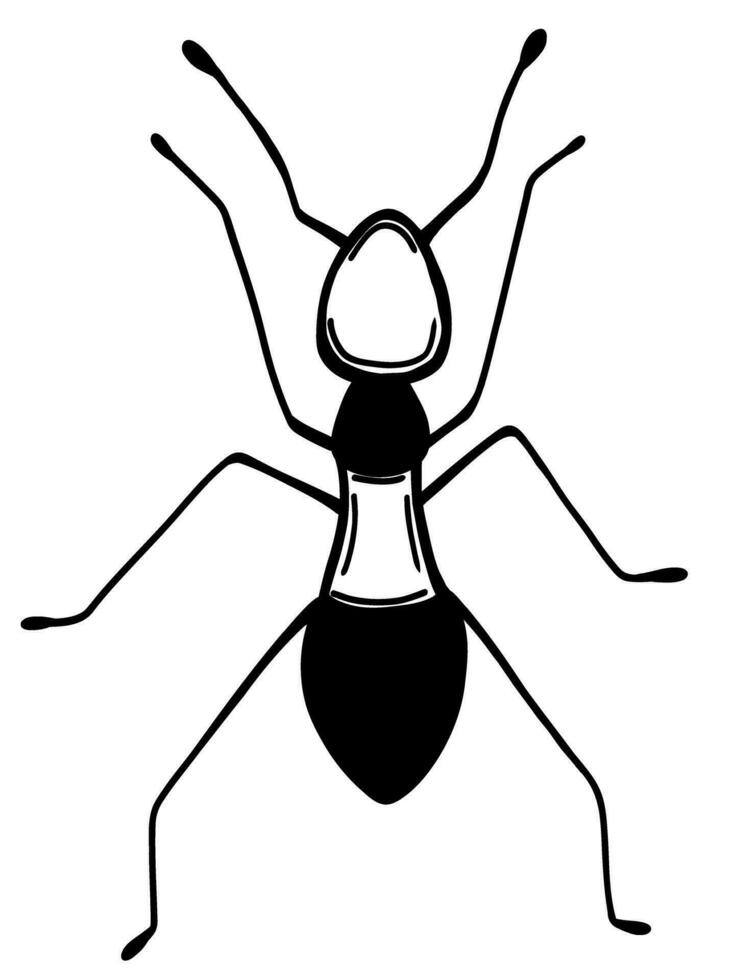 formica insetto nel scarabocchio stile vettore