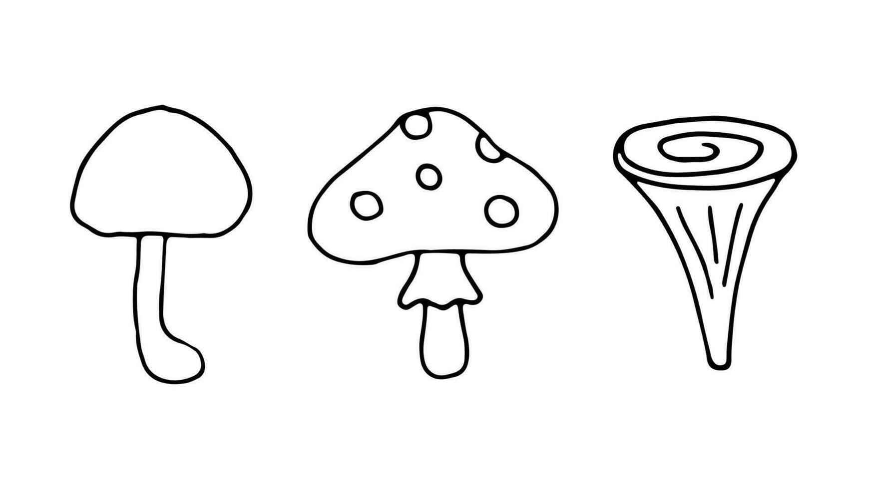 impostato di funghi nel scarabocchio stile. contorno mano disegno. autunno foresta collezione su bianca sfondo. vettore