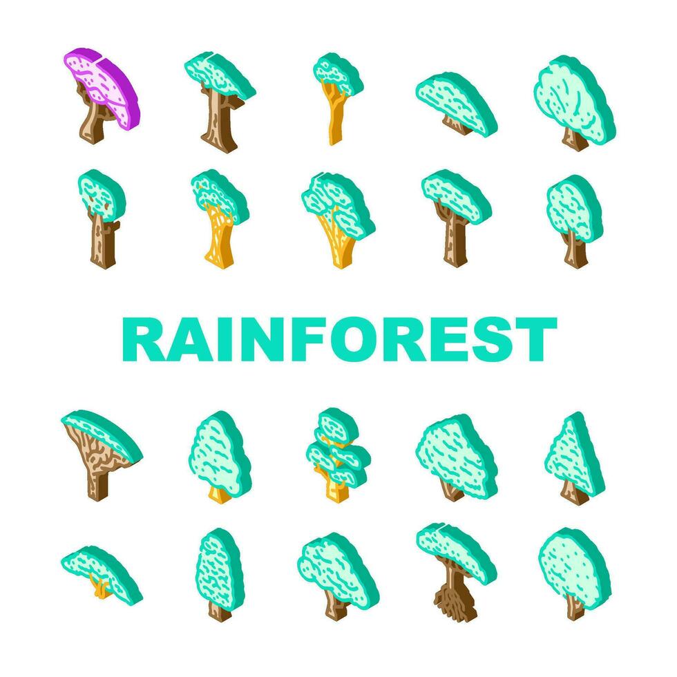 foresta pluviale albero foresta verde icone impostato vettore