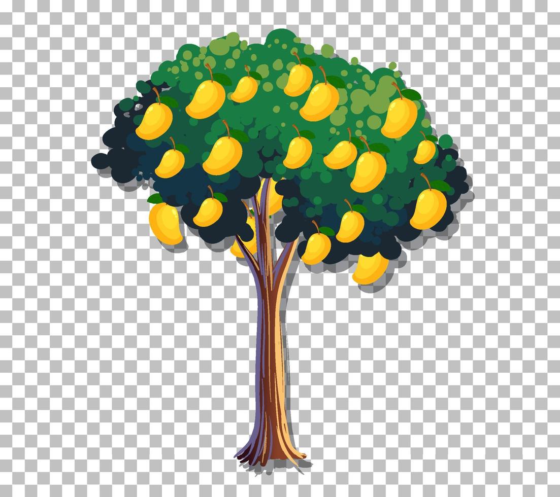 albero di mango isolato vettore