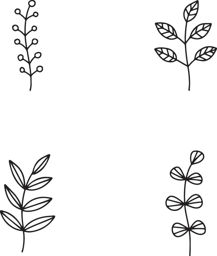 mano disegnato le foglie con scarabocchio design. isolato su bianca sfondo. vettore illustrazione.