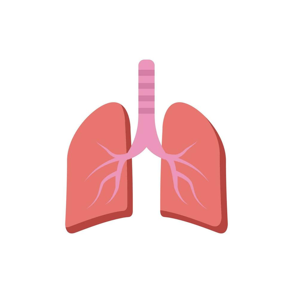 polmoni icona vettore illustrazione design