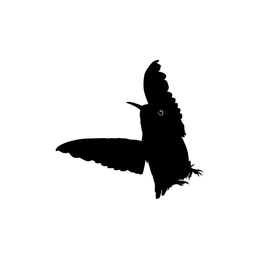 volante colibrì silhouette, può uso arte illustrazione, sito web, logo grammo, pittogramma o grafico design elemento. vettore illustrazione