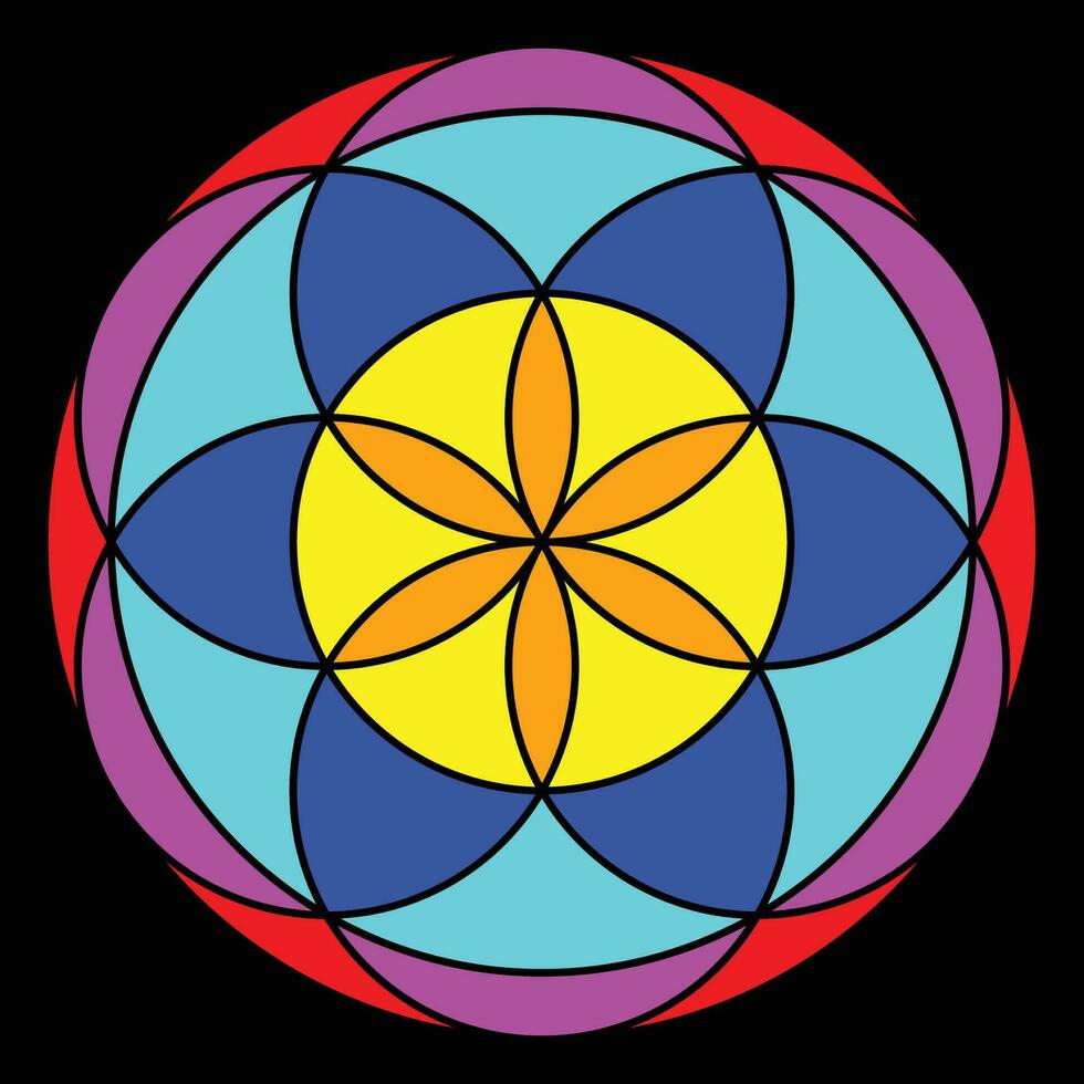 lussuoso mandala design vettore