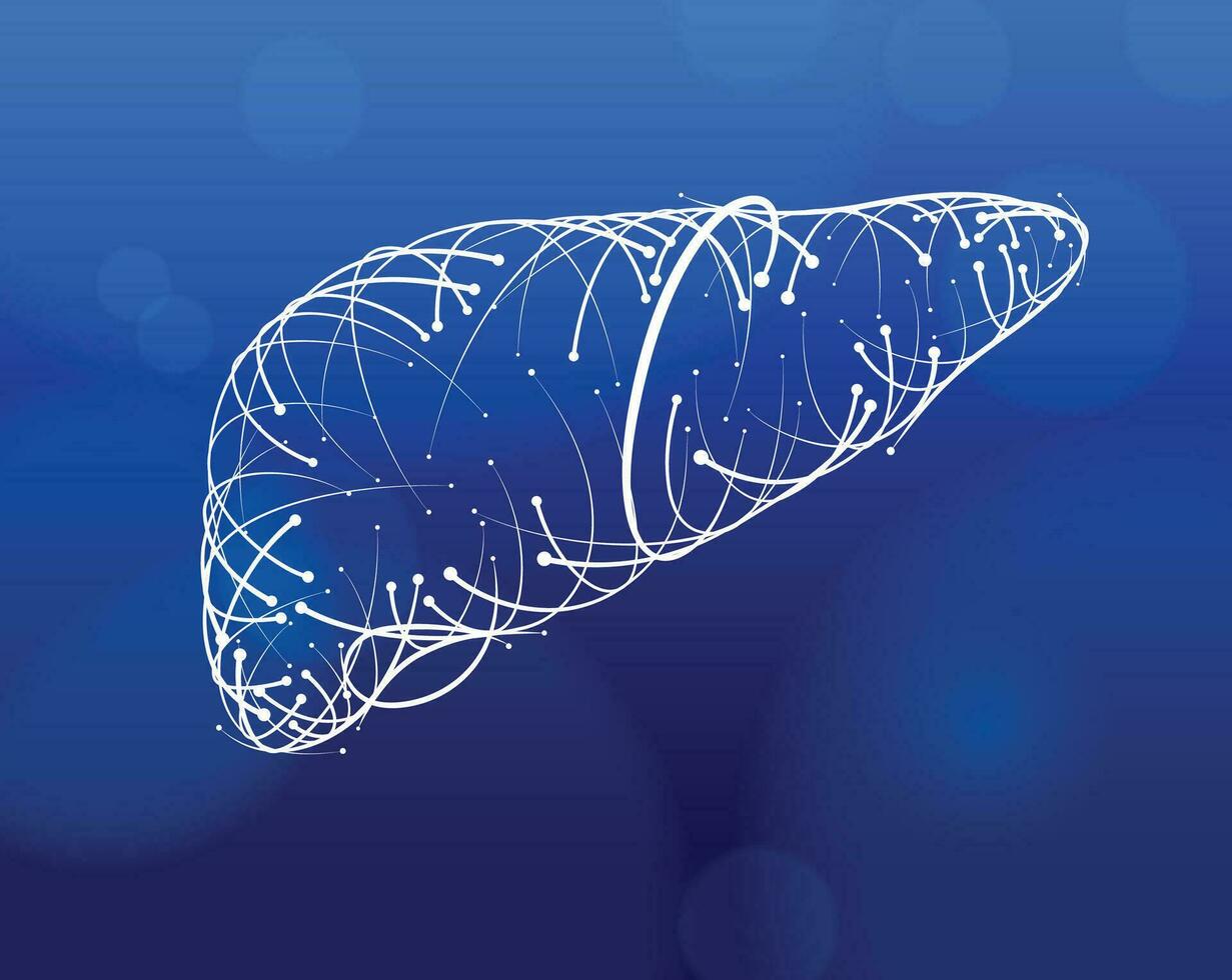 illustrazione di bianca Linee e intersezioni di umano fegato, moderno stile, su blu scuro sfondo. vettore