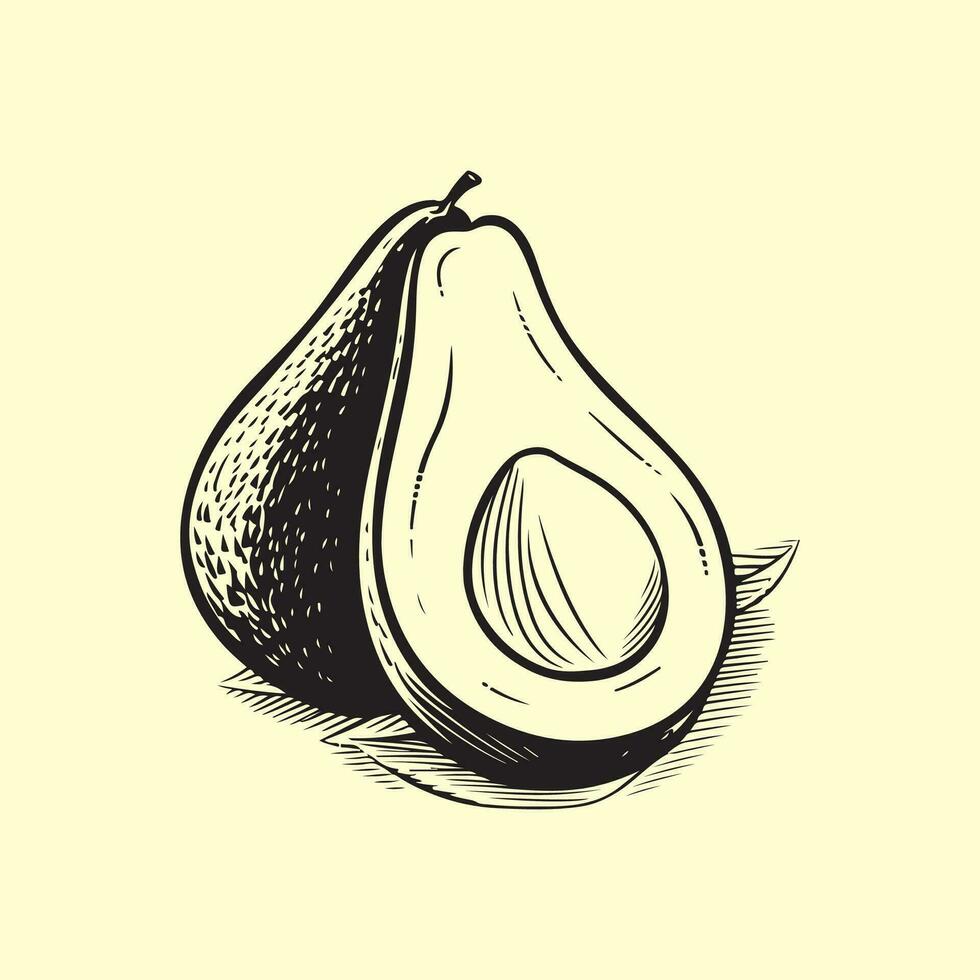 avocado vettore immagini, illustrazione di un' avocado