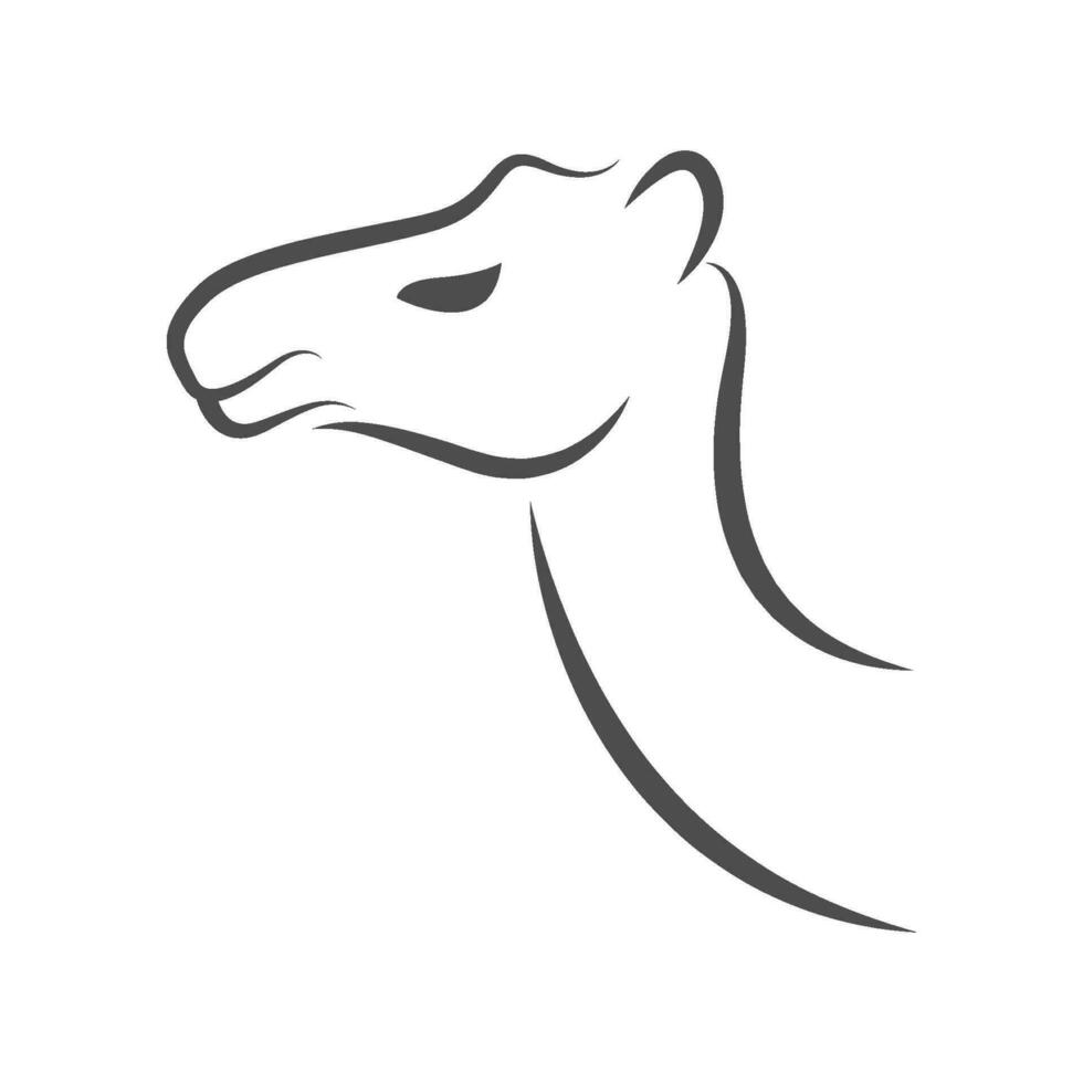 cammello desain logo icona vettore
