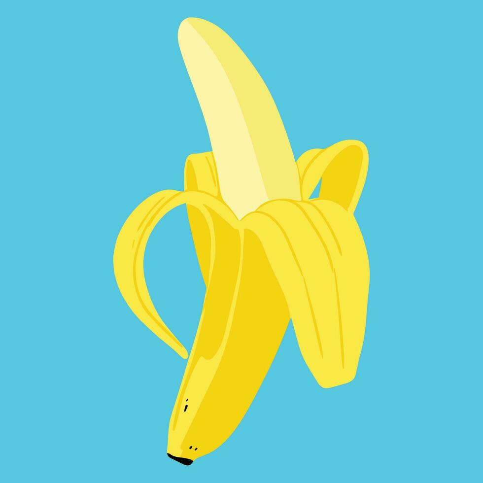 colorato vettore illustrazione di Banana. per cosmetico pacchetto disegno, medicinale erba, curare, metà cura, stampe. design elemento per tessuto, tessile, vestiario, involucro carta, sfondo